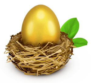nest-egg