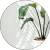 evelina balla profile picture